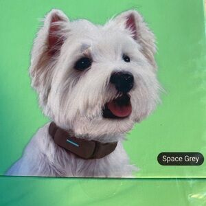 New In Box Petority Space Gray Large Smart Collar